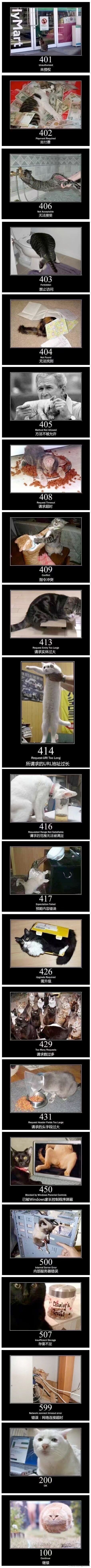 状态码