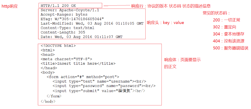 HTTP response 的结构